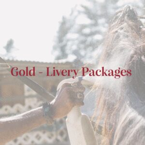 Gold - Livery Packages