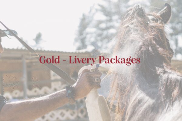 Gold - Livery Packages