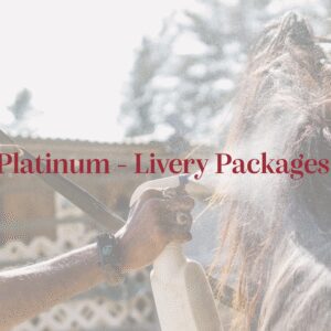 Platinum - Livery Packages