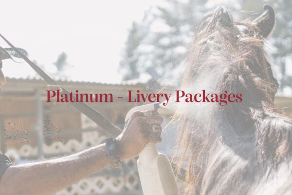 Platinum - Livery Packages
