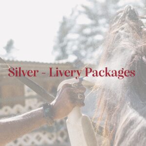 Silver- Livery Packages