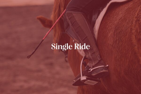 Single Ride - Horse Riding Rentals
