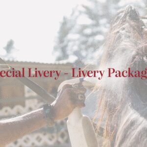 Special Livery- Livery Packages