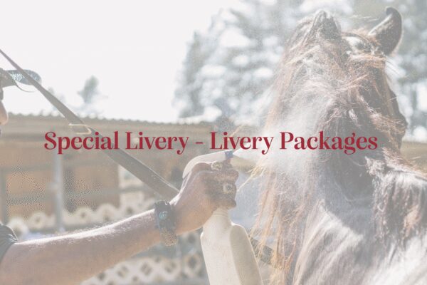Special Livery- Livery Packages