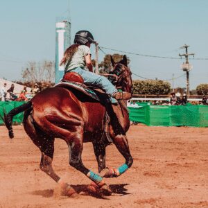 Demo Bidhorse