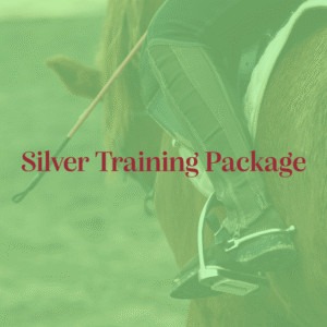 Silver - Horse Training Packages