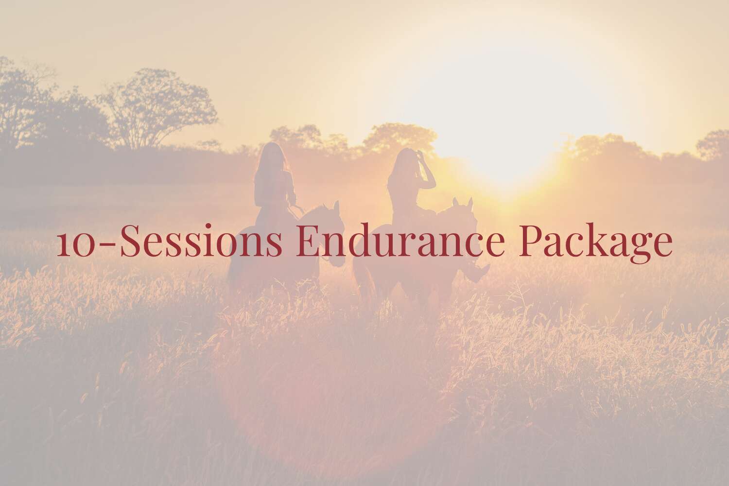 10-Session Endurance Package