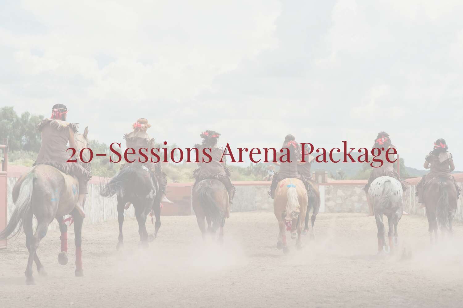 20-Session Arena Package