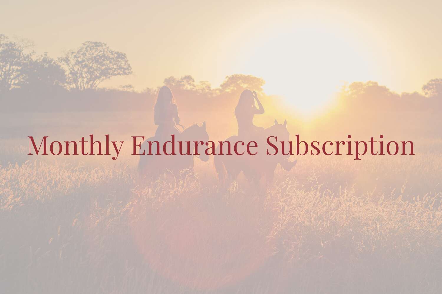 Monthly Endurance Subscription